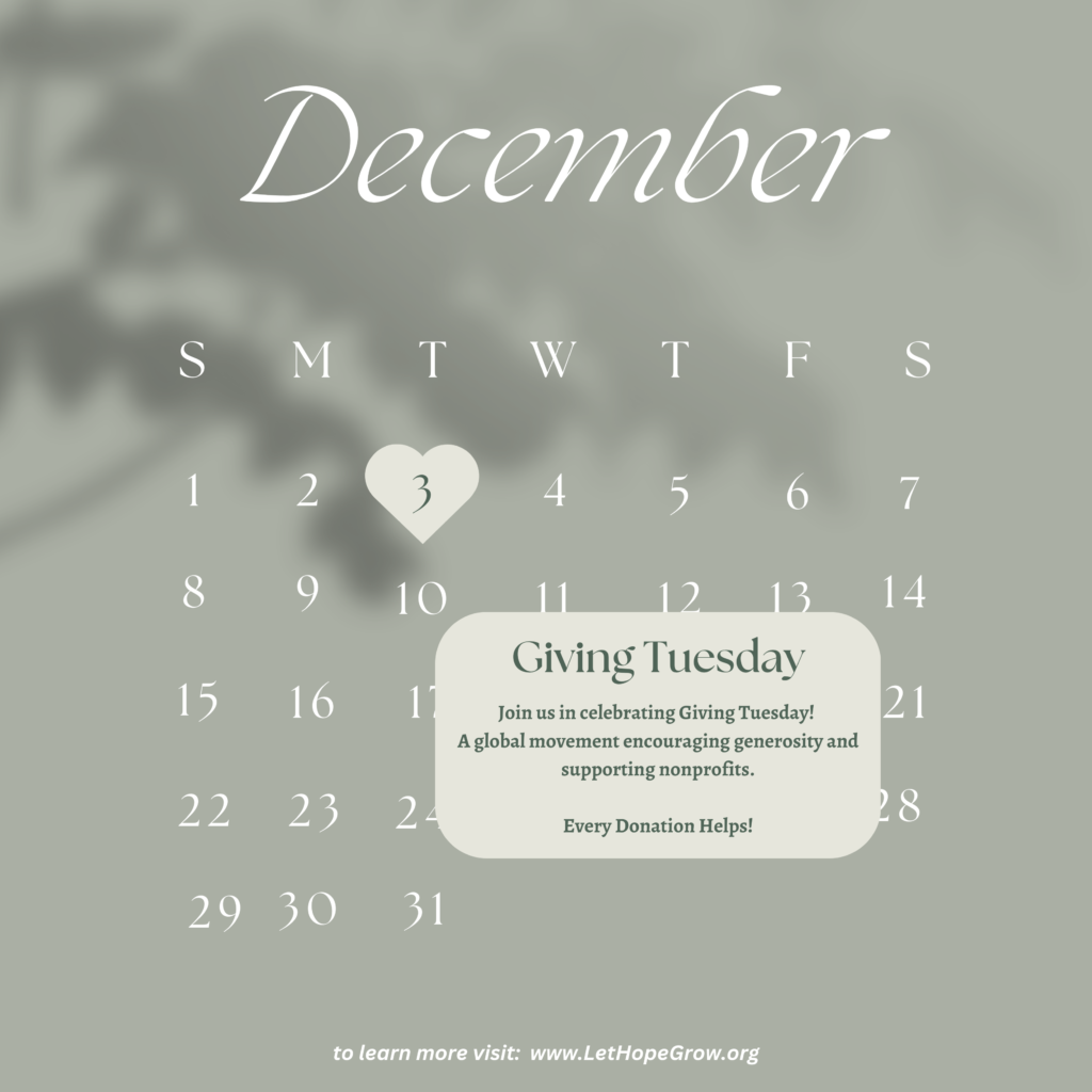 Giving Tuesday calendar graphic highlighting December 3rd with a heart, encouraging donations to Let Hope Grow to support ALS patients and caregivers.